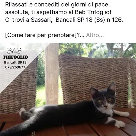 Nocleg ze śniadaniem Trifoglio Bancali *