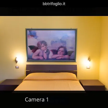 Trifoglio Bancali Couette-café *