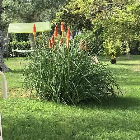 Nocleg ze śniadaniem Trifoglio Bancali *