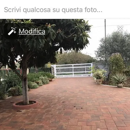 Trifoglio Bancali