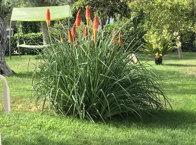 Frühstückspension Trifoglio Bancali *