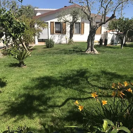 Bed & Breakfast Trifoglio Bancali *