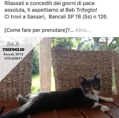 Panzió Trifoglio Bancali *